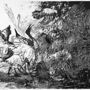 Grafika "Parada". Obraz przedstawia ptaki chaotycznie wylatujące z zarośli. Po prawej widać gęsty las.